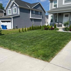 Bush Trimming by Yanez Brothers Landscaping reviewed on July 20, 2022