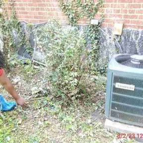 Bush Trimming by A job well done reviewed on August 19, 2025