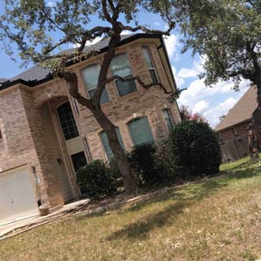 Bush Trimming by One Kool Kat Lawn Care reviewed on August 20, 2025