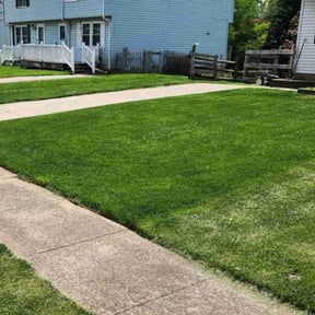 lawn maintenance by Parker services reviewed on May 20, 2025