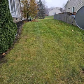 Bush Trimming by Joshs lawncare reviewed on August 16, 2025