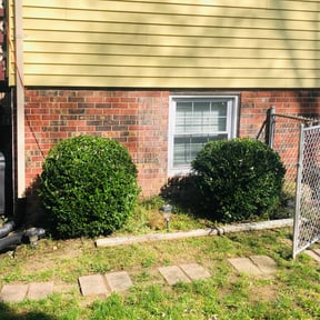 Bush Trimming by DPR Land and Hardscape Design reviewed on August 18, 2025