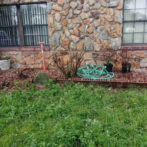 Flower Bed Weeding by TH lawncare reviewed on January 29, 2026