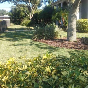 landscaping by Overdrive reviewed on August 16, 2025