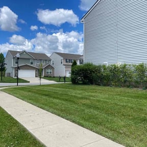 yard maintenance by Chris Slone Lawn Love reviewed on August 17, 2025