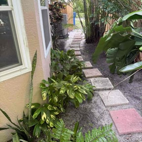 Leaf Removal by L&amp;S Lawn Service reviewed on September 23, 2025