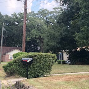 Bush Trimming by Girard's Lawn Care reviewed on August 16, 2025
