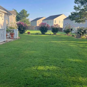 grass cutting by P3 Lawn Care reviewed on September 28, 2023