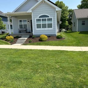 yard care by Harold Guzman's Landscaping reviewed on August 21, 2025