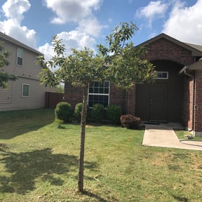 Bush Trimming by Birch Hill Mowing & Property Maintenance reviewed on August 21, 2025