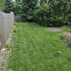 grass maintenance by Ronald Burton reviewed on August 15, 2025