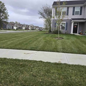 residential landscaping by Yard pro reviewed on August 17, 2025