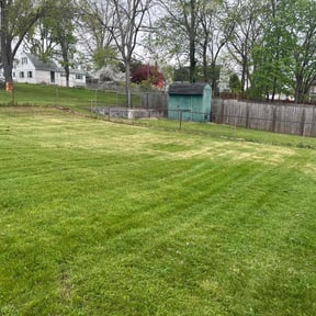 lawn care services by ASB LAWN MODIFICATION reviewed on September 14, 2023