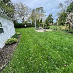 yard work by Allen Quality Maintenance reviewed on August 21, 2025