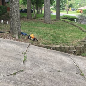 Bush Trimming by Resident's Choice reviewed on August 17, 2025