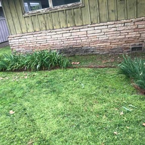 Flower Bed Weeding by Western Wayne Lawn Care reviewed on May 10, 2026