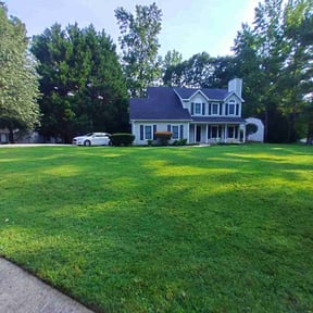 residential landscaping by Year Round Yard Works reviewed on November 20, 2025