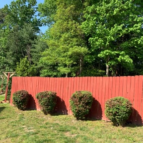 Bush Trimming by Auggie’s Lawn Care reviewed on August 21, 2025
