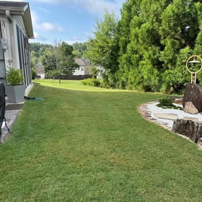 yard care by Thomas Fador reviewed on August 16, 2025