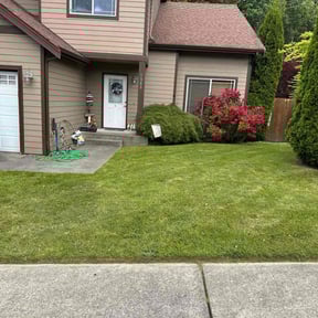 yard care by Galaxy painting and landscaping reviewed on August 20, 2025
