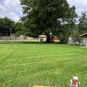 landscape maintenance by The lawn Guy reviewed on August 21, 2025