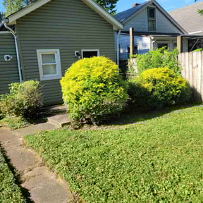 Bush Trimming by Text 2 Cut Lawn Care LLC reviewed on August 15, 2025