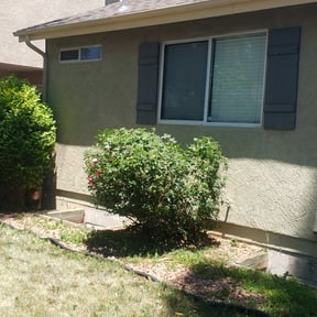 Bush Trimming by ON THE RIGHT TRACK PROPERTY MAINTENANCE reviewed on August 20, 2025
