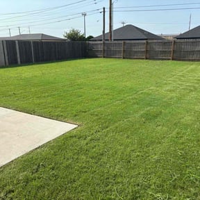 yard care by Green For You  reviewed on August 17, 2025