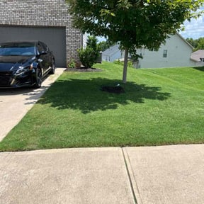 residential landscaping by D&D Lawn Care & Maintenance reviewed on August 20, 2025