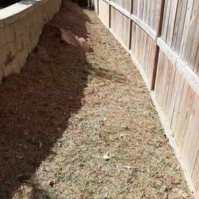 Flower Bed Weeding by Premier Property Managment reviewed on August 18, 2025