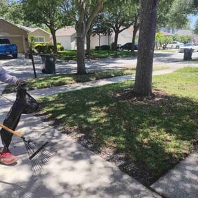 Leaf Removal by Iowa Lawn and Plow, LLC reviewed on April 30, 2024