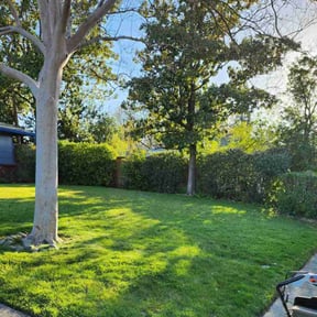 yard maintenance by Ausmus Gardencare reviewed on August 15, 2025
