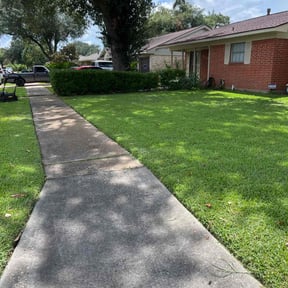 gardening service by Sal's lawn service reviewed on August 18, 2025