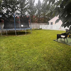 yard work by Coral Leaf Landscaping reviewed on August 20, 2025