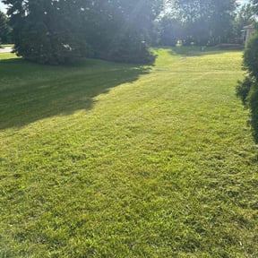 grass maintenance by Camarena Cutting Edge Lawn Care reviewed on September 5, 2024