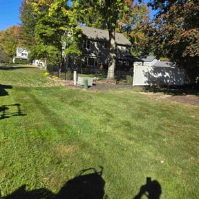 Leaf Removal by Johnsons lawn care reviewed on November 7, 2025