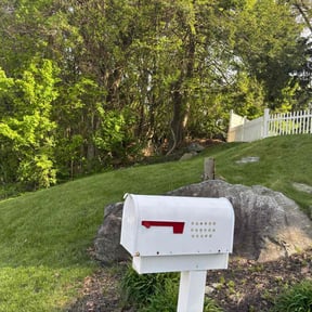 landscaping by Impactt Landscaping, LLC reviewed on August 18, 2025