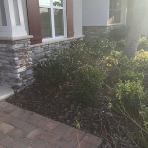 Bush Trimming by Starlings Lawn Care LLC reviewed on August 17, 2025