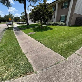 yard maintenance by Dave&#039;s Professional Lawn Service reviewed on November 23, 2025