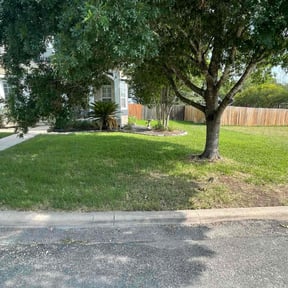 turf maintenance by GREEN GUYS LAWN CARE reviewed on June 7, 2024