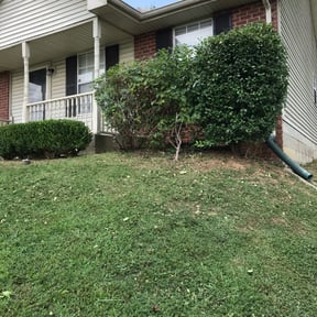 Bush Trimming by J&amp;S home services reviewed on August 19, 2025