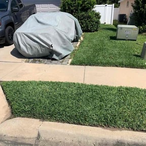 grass maintenance by Frederickson Lawn Management reviewed on March 13, 2024