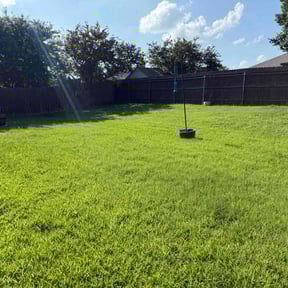 yard service by Choice Specialties LLC reviewed on August 19, 2025