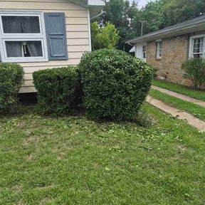 Bush Trimming by Diaz sprinkler reviewed on July 24, 2026