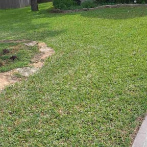 yard maintenance by X&#039;cellent Lawn Kare and Landscaping LLC reviewed on November 22, 2025