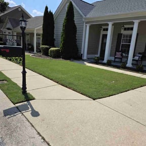 yard maintenance by Modern Elevation Carpentry(grass, remodel, builders, contract work) reviewed on August 20, 2025