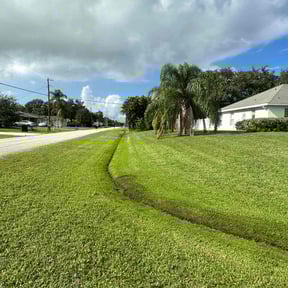 yard work by Michael lawn services reviewed on August 16, 2025