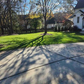 lawn maintenance by Piedmont reviewed on June 10, 2025