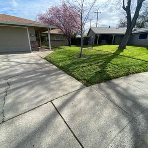 lawn care by Manny los Lawn Care Services reviewed on May 11, 2025
