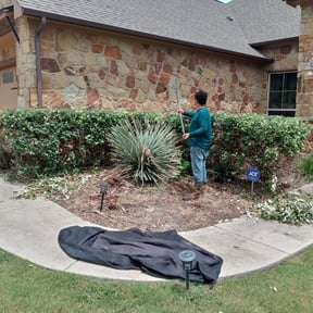 Bush Trimming by Bakers lawn service reviewed on August 18, 2025